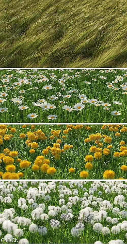 草和花3D模型 Mentor Plants HQ Grass 1 for 3ds max vray,mentalray