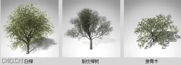 欧洲丘陵和平原植物3D模型 XfrogPlants – EUROPE 1 - C4D之家 - df1511_28.jpg