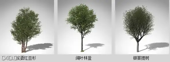 欧洲丘陵和平原植物3D模型 XfrogPlants – EUROPE 1 - C4D之家 - df1511_29.jpg