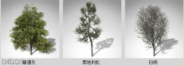 欧洲丘陵和平原植物3D模型 XfrogPlants – EUROPE 1 - C4D之家 - df31512_32.jpg