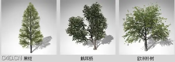 欧洲丘陵和平原植物3D模型 XfrogPlants – EUROPE 1 - C4D之家 - df31512_31.jpg