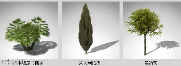 地中海树木3D模型 XfrogPlants – MEDITERRANEAN - C4D之家 - df31610_39.jpg