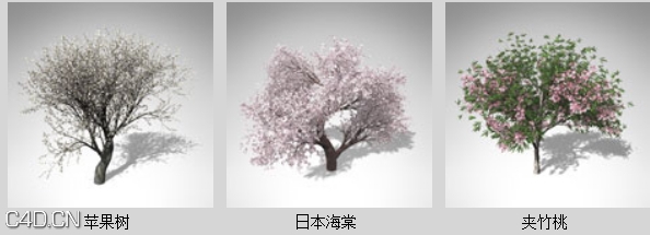 开花的树木3D模型 XfrogPlants – BLOSSOMING - C4D之家 - dfd2037_55.jpg