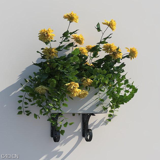 花卉3D模型合集 R&D Group – iFlowers vol.5 Stands - C4D之家 - huge_823.jpg
