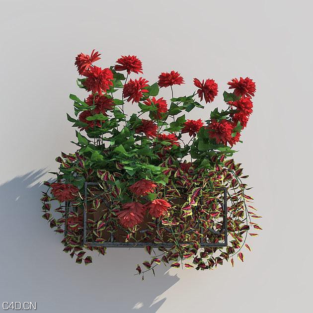 花卉3D模型合集 R&D Group – iFlowers vol.5 Stands - C4D之家 - huge_825.jpg