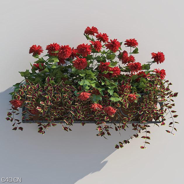 花卉3D模型合集 R&D Group – iFlowers vol.5 Stands - C4D之家 - huge_824.jpg