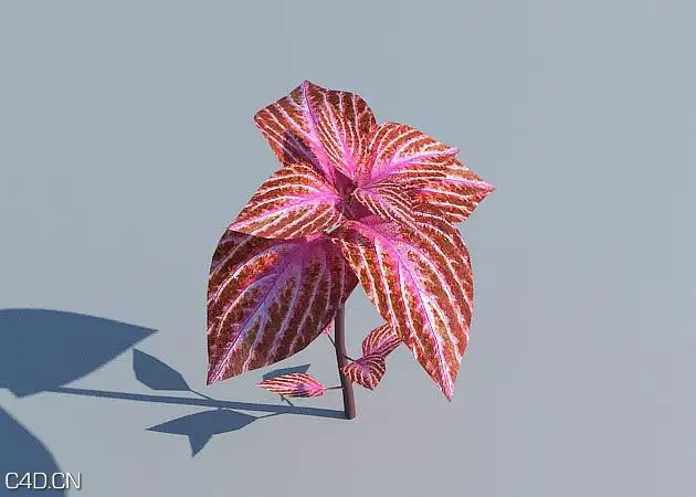 花圃花卉3D模型 R&D Group – iFlowers vol.3 Flowerbeds - C4D之家 - huge_608.jpg