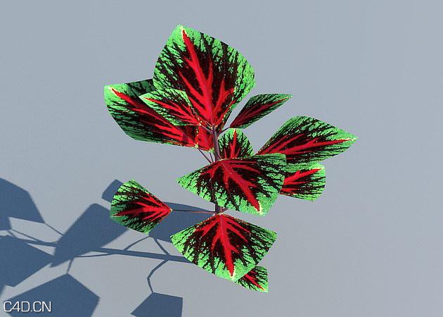 花圃花卉3D模型 R&D Group – iFlowers vol.3 Flowerbeds - C4D之家 - huge_598.jpg