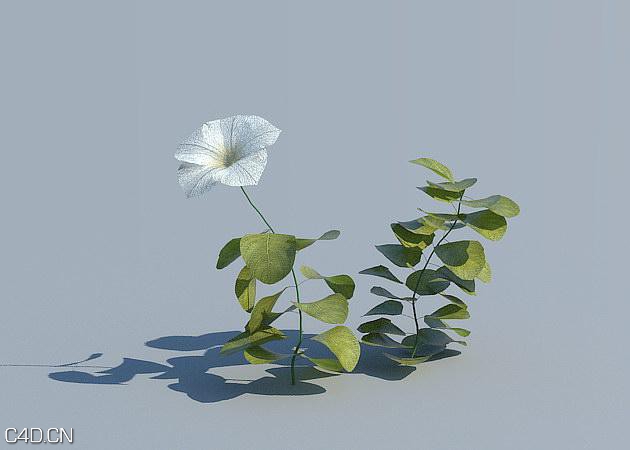 花圃花卉3D模型 R&D Group – iFlowers vol.3 Flowerbeds - C4D之家 - huge_621.jpg