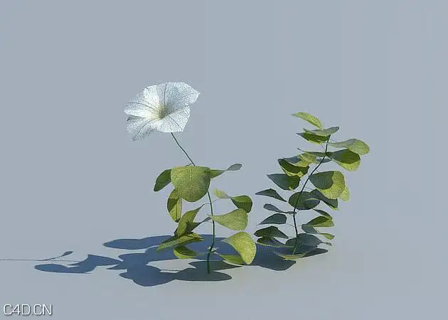花圃花卉3D模型 R&D Group – iFlowers vol.3 Flowerbeds - C4D之家 - huge_621.jpg