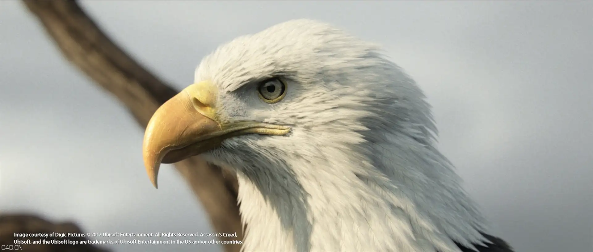 Arnold（C4DtoA）渲染器官方宣传作品展示 - C4D之家 - AC3_eagle.jpg