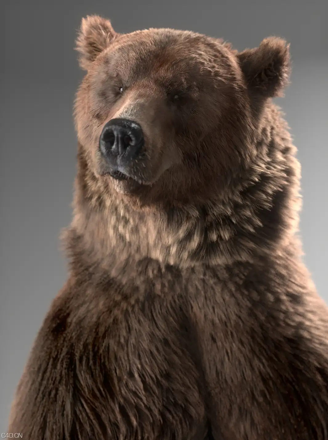 Arnold（C4DtoA）渲染器官方宣传作品展示 - C4D之家 - filmakademie_bear_1.jpg