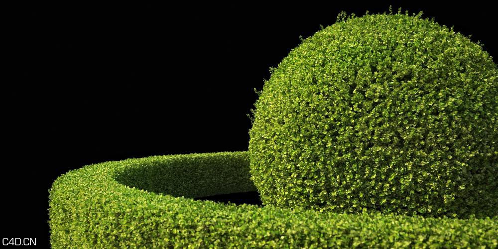 灌木3D模型 R&D Group – iBushes vol.1 - C4D之家 - huge_1387.jpg