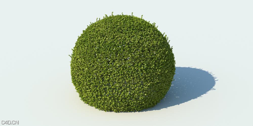 灌木3D模型 R&D Group – iBushes vol.1 - C4D之家 - huge_1388.jpg