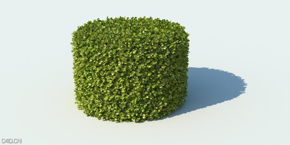 灌木3D模型 R&D Group – iBushes vol.1 - C4D之家 - huge_1394.jpg