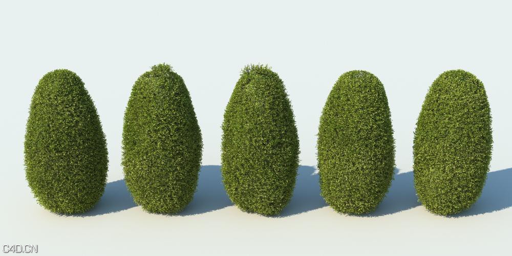 灌木3D模型 R&D Group – iBushes vol.1 - C4D之家 - huge_1393.jpg