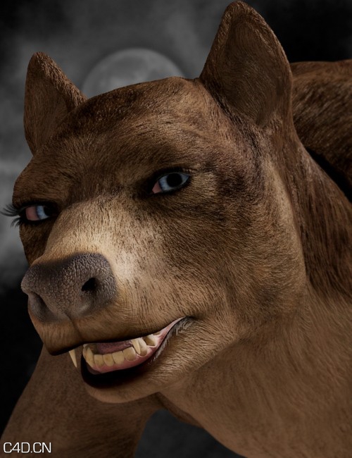 狼人poser模型 Daz3D The Man Wolf