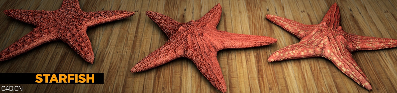 旅行3D模型 The Pixel Lab – Travel Pack - C4D之家 - The-Pixel-Lab-C4D-Model-Cinema-4D-Starfish.jpg