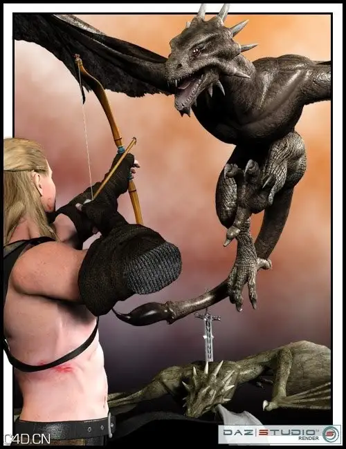 射龙女poser模型 Daz3D Wild Wyvern Action