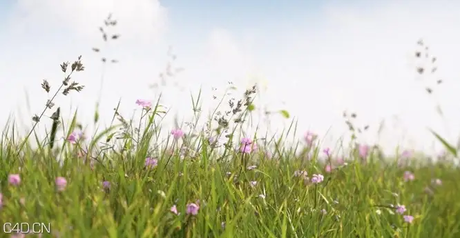 植物/粮食3D模型（草地、花草、小麦） R&D Group – iGrass Vol.1 - C4D之家 - cinema4d_ 2014-09-10 22.26.34.jpg