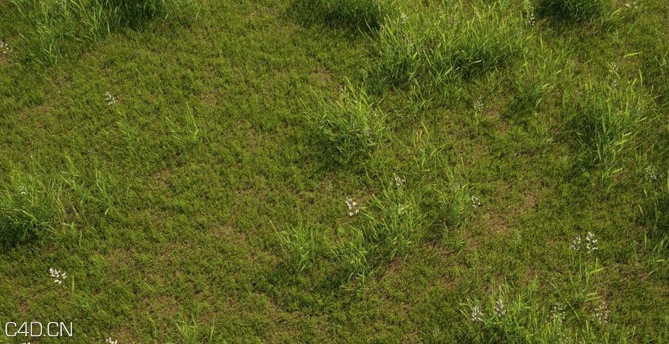 植物/粮食3D模型（草地、花草、小麦） R&D Group – iGrass Vol.1 - C4D之家 - cinema4d_ 2014-09-10 22.26.38.jpg