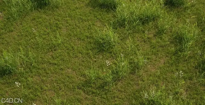 植物/粮食3D模型（草地、花草、小麦） R&D Group – iGrass Vol.1 - C4D之家 - cinema4d_ 2014-09-10 22.26.38.jpg