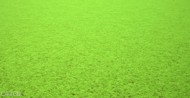 植物/粮食3D模型（草地、花草、小麦） R&D Group – iGrass Vol.1 - C4D之家 - cinema4d_ 2014-09-10 22.26.53.jpg