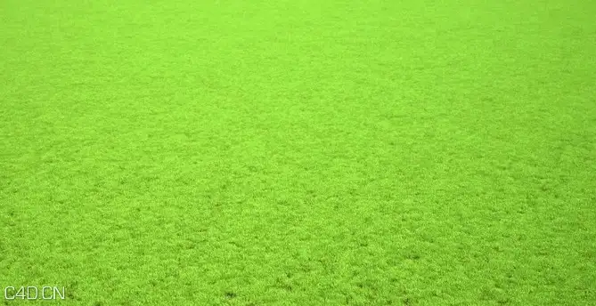 植物/粮食3D模型（草地、花草、小麦） R&D Group – iGrass Vol.1 - C4D之家 - cinema4d_ 2014-09-10 22.26.53.jpg