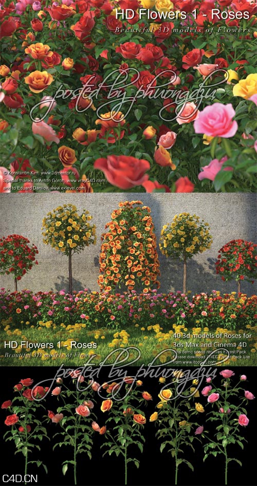 玫瑰花3D模型 3DMentor HD Flowers 1: ROSES – FULL MAX format - C4D之家 - 8577c466b16e5b105f7c4612cec9b690.jpg