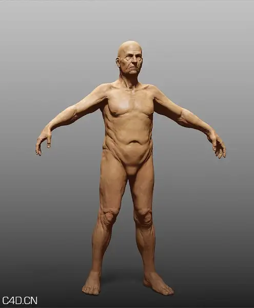 各种人体3D模型合辑 Turbosquid – Human Zbuilder