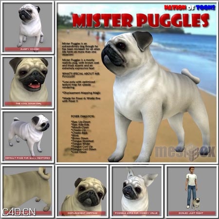 沙皮狗poser模型 Renderosity Mister Puggles for Poser