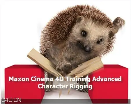 C4D高级角色动画装配教程 Training Advanced Character Rigging - C4D之家 - MR0@TJ0O3D[{~[D$[JYY7.jpg