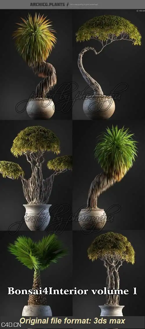 盆栽植物3D模型 ArchiCG Plants : Bonsai4Interior Vol.1 - C4D之家 - a7b7bac8da415f455cb9f37441371e6f.jpg