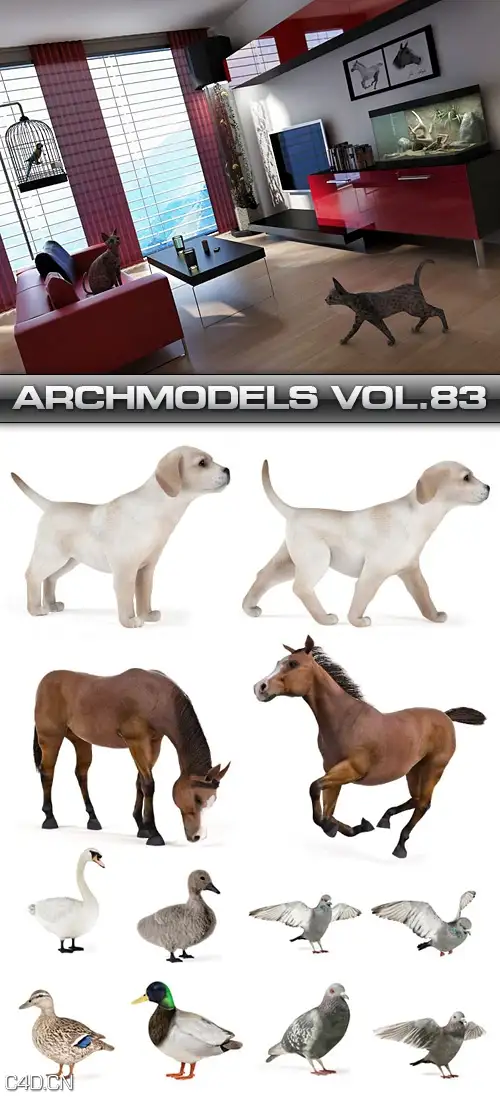 动物3D模型合集（牛 马 羊 猫 狗 鸽子 鸭子）Archmodels vol 83