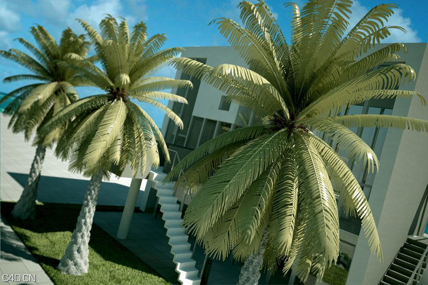 MAX 植物模型3D模型合集 Evermotion Archmodels Vol 42 - C4D之家 - 6fed18c5ebb2eb7427b8efd7f1c2fd23.jpg