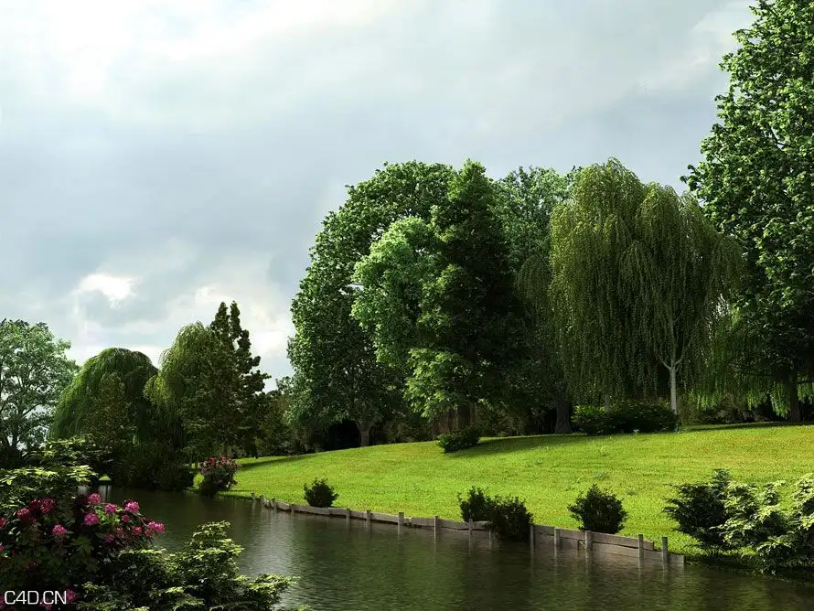 树木3D模型合集 Evermotion Archmodels Vol 58 MAX - C4D之家 - 2a156d40199bbb7ffe7acc6fba83d9f1.jpg