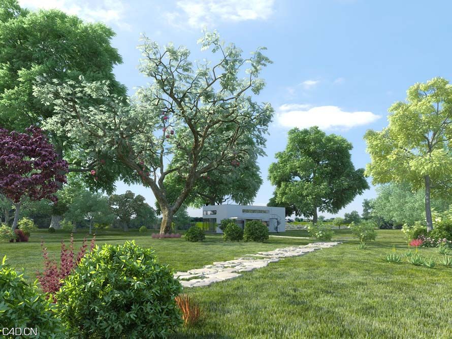 园林/灌木/树木/植物3D模型 Evermotion Archmodels Vol 61 - C4D之家 - 88981d0741733038c91ab8a7dc05c5a1.jpg