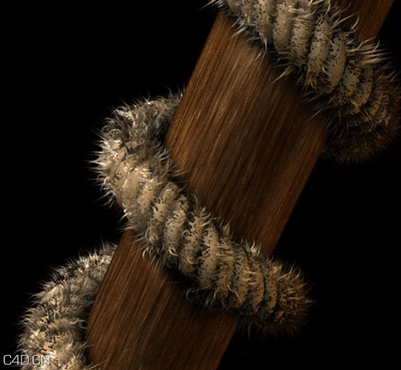 Reeper 2.02 R16 希格斯玻汉化版 - C4D之家 - 绳索插件效果图