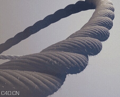 Reeper 2.02 R16 希格斯玻汉化版 - C4D之家 - 绳索插件效果图