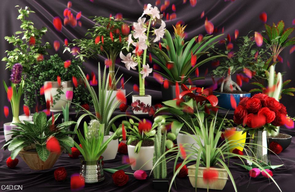 花草3D模型合集 Evermotion Archmodels Vol 66 MAX - C4D之家 - f38635954576cb30b31da05388c78a0e.jpg