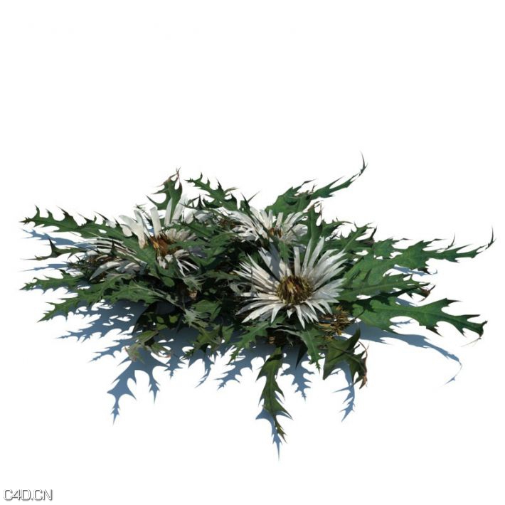 植物/草3D模型合集 Evermotion – Archmodels vol 126 - C4D之家 - 164bc6f62e06e326076e7c30974f73c9.jpg