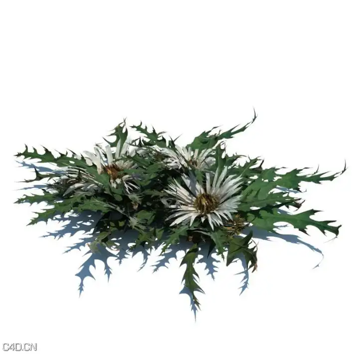 植物/草3D模型合集 Evermotion – Archmodels vol 126 - C4D之家 - 164bc6f62e06e326076e7c30974f73c9.jpg
