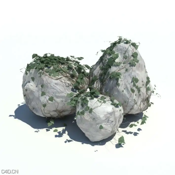 植物/草3D模型合集 Evermotion – Archmodels vol 126 - C4D之家 - 4485b376752c3b6af5880faa00143e85.jpg