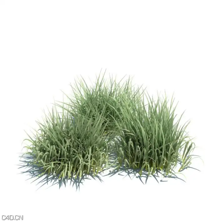 植物/草3D模型合集 Evermotion – Archmodels vol 126 - C4D之家 - 7268530d47971bd33f5397e6fda4e65b.jpg