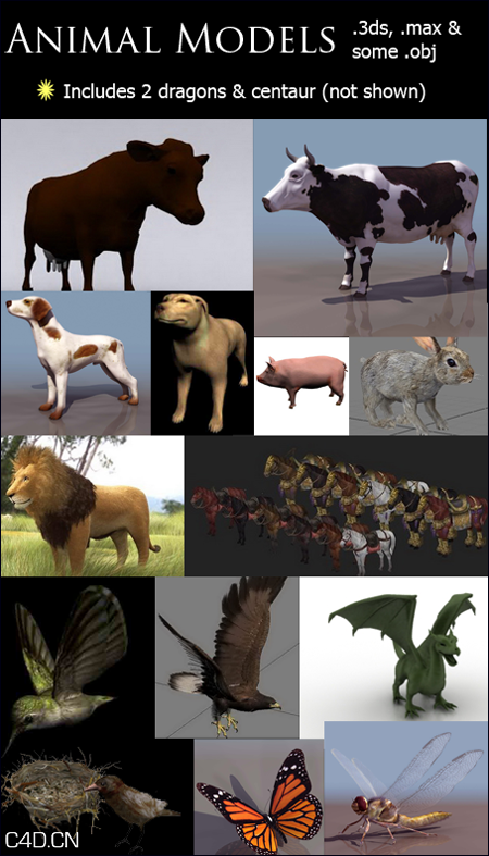 动物模型合集 3D Animal Models for 3ds Max - C4D之家 - cdbd790fb3a8d33a69a57918417bd22d.png