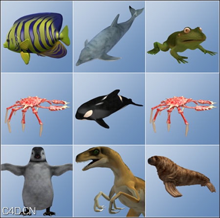海洋动物3D模型合集 Poser 2012 Pro Content – Poser Animals