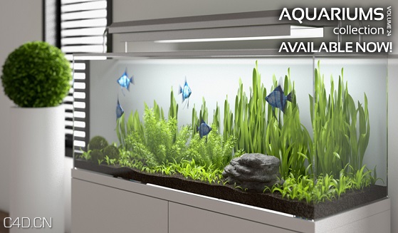 鱼缸/水族馆3D模型 CGAxis Models Volume 24 Aquariums（max/c4d/fbx/obj）