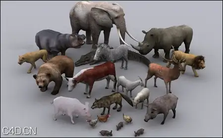 unity卡通动物包：Toon Animals Pack