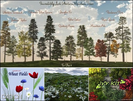 VUE景观植物/树木3D模型（veg）Incredibly Lush Plants Pack – Vuegen - C4D之家 - 6af7df4e557d481b52eadf8facfecd41.jpg
