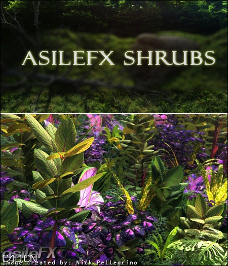 VUE灌木/热带植物3d模型 AsileFX Shrub & Tropical Plants Pack – Vuegen - C4D之家 - 3ebd541a4869da340ac784ba997c3f13.jpg